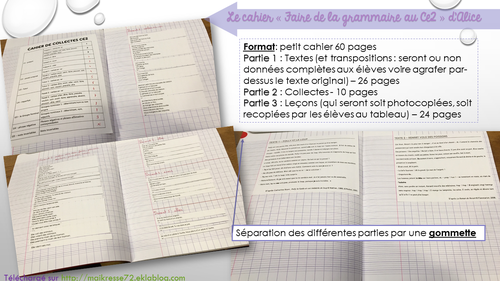 Programmes 2016 : Faire de la grammaire au Ce2 - F. Picot - Documents élèves